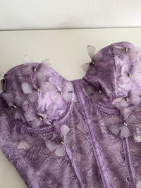 Butterfly Lace Tube Top
