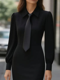Tie-Neck Long Sleeve Dress